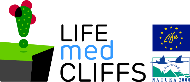 LMC-logo-partners_0.png