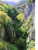 HabitatsCORINE2025R.png