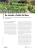 MilfullesPortadaCerealsAFruitsBosc2025R.jpg