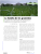 MilfullesPortadaFamiliaGraminies2025R_0.png