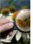  Angiospermes1-2025.R.jpg