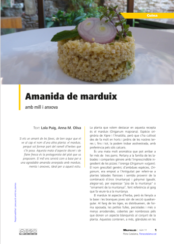 MilfullesPortadaAmanidaMarduix2026.png