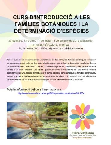 PosterCursPdesBotanicaFamiliesDeterminacio2019.JPG