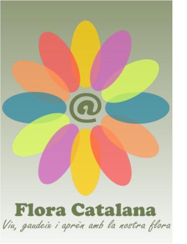 LogoFCDegradatR.jpg