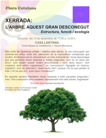  XerradaSobreLArbre.V002R006R_0.jpg