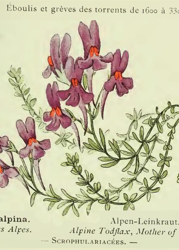 Lam.VTax2624.Lam4