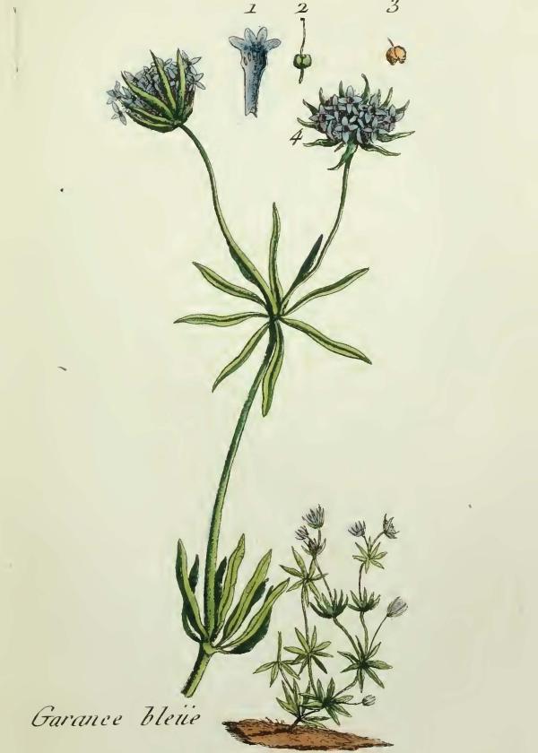 Lam.VTax2808.Lam4