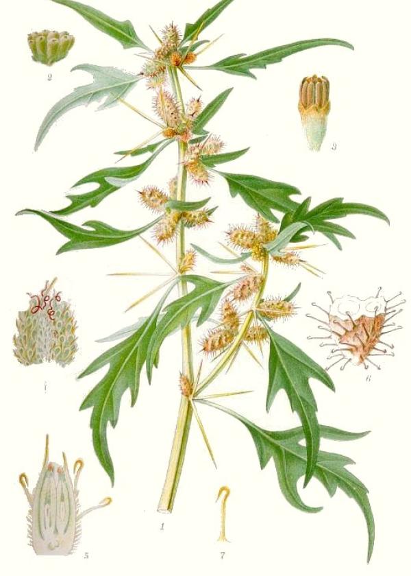 Lam.VTax3076.Lam2