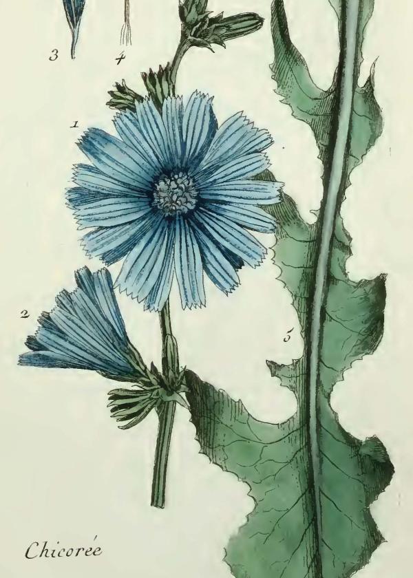 Lam.VTax3295.Lam6