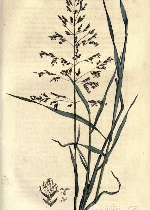 Lam.VTax3907.Lam4