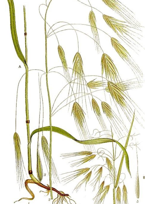 Lam.VTax3957.Lam2