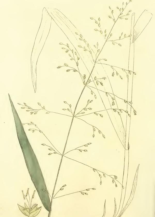 Lam.VTax4113.Lam2