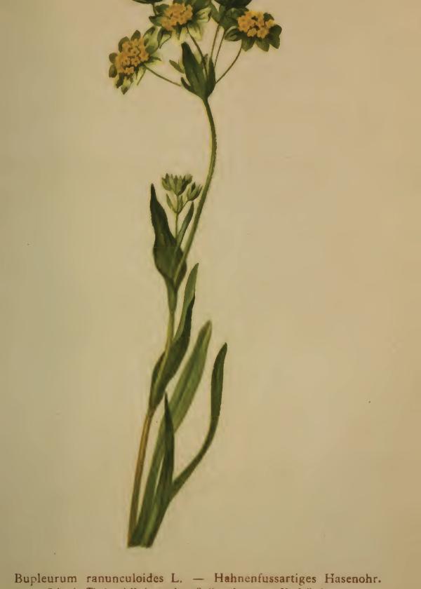 Lam.VTax4396.Lam2