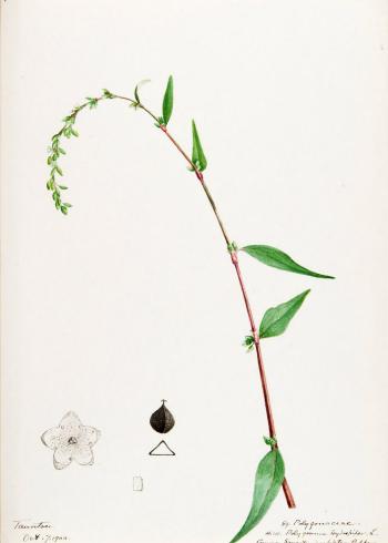 Lam.VTax1818.Lam6
