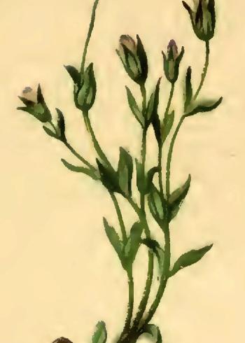 Lam.VTax2284.Lam2