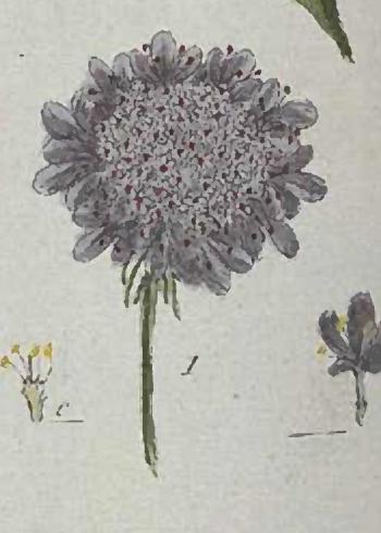 Lam.VTax2922.Lam3