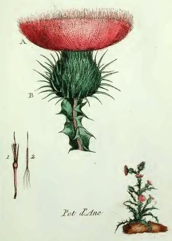 Lam.VTax3239.Lam1