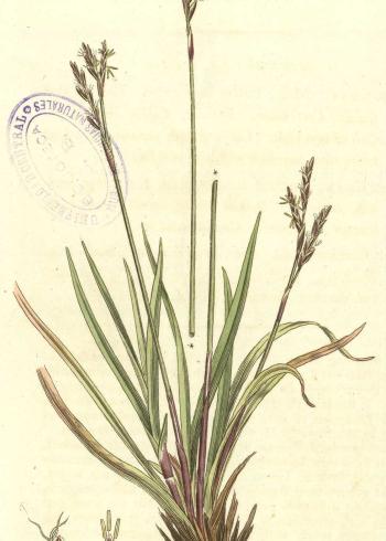 Lam.VTax3784.Lam2