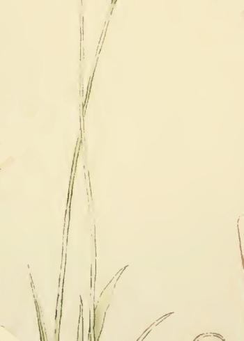 Lam.VTax3798.Lam2