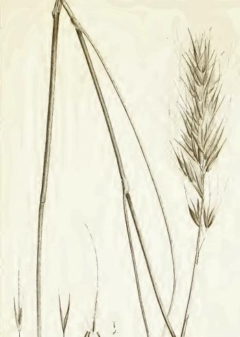 Lam.VTax4124.Lam1
