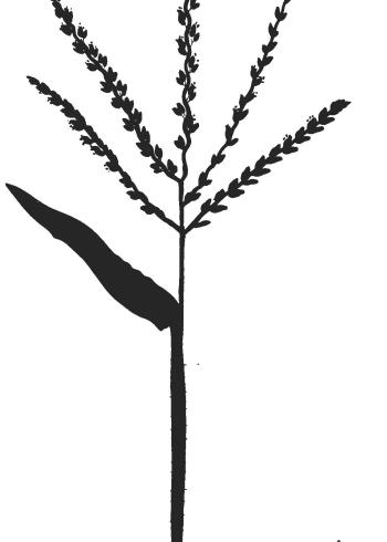 Lam.VTax4180.Lam2