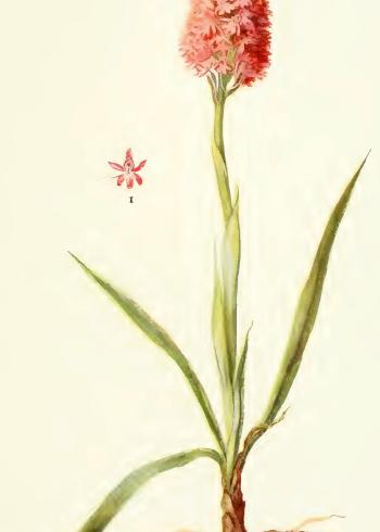 Lam.VTax4285.Lam6