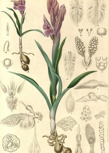 Lam.VTax4287.Lam2
