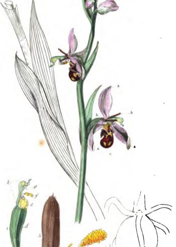 Lam.VTax4303.Lam2