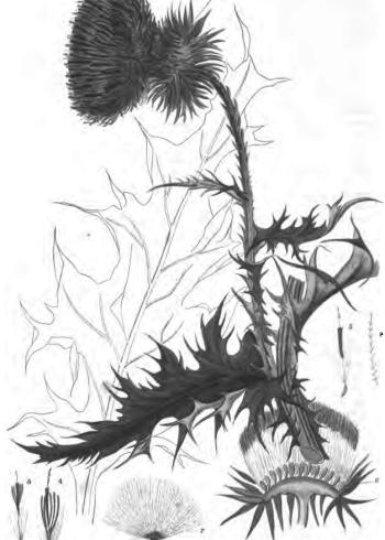 Lam.VTax4412.Lam3