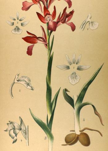 Lam.VTax4617.Lam5