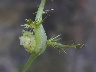 Vtax3598-org51.Img8_.jpg