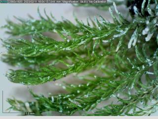 BTax245.Ex4_.Img3_.jpg