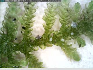 BTax486.Ex3_.Img3_.jpg