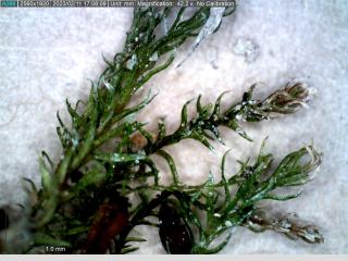 BTax546.Ex1_.Img6_.jpg