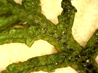 BTax561.Ex3_.Img3_.jpg
