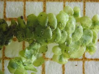 BTax613.Ex2_.Img3_.jpg