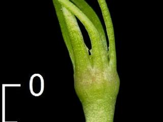 Img.VTax2289.ExN.Img1