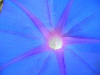 Img.VTax2301.ExN.Img3
