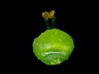 Img.VTax2311.ExN.Img12
