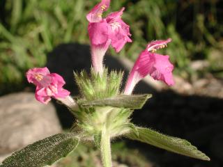 Img.VTax2425.ExN.Img4