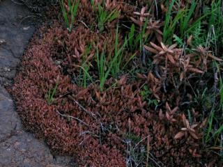 Img.VTax297.ExN.Img7