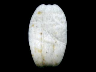 Img.VTax3121.ExN.Img9
