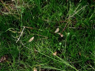 Img.VTax5.ExN.Img4