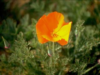 Img.VTax945.ExN.Img3