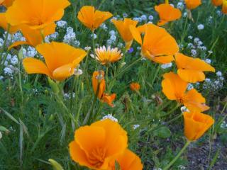 Img.VTax945.ExN.Img4