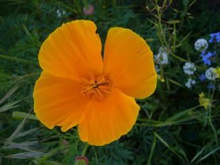 Img.VTax945.ExN.Img5