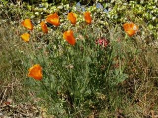 Img.VTax945.ExN.Img6