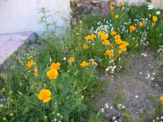 Img.VTax945.ExN.Img7
