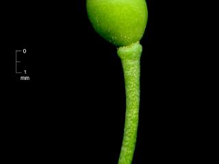 Img.VTax1119.ExN.Img10