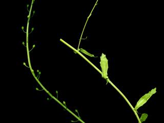 Img.VTax1119.ExN.Img8